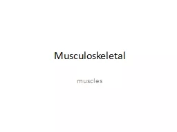 Musculoskeletal muscles 2