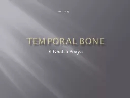 Temporal bone E.Khalili