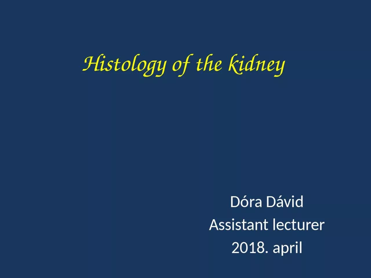 Histology of the kidney Dóra Dávid