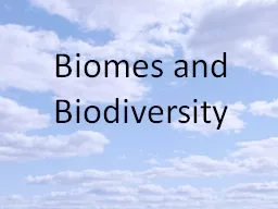 Biomes and Biodiversity Analogy