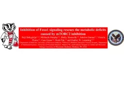 Inhibition of Foxo1 signaling rescues the metabolic deficits caused by mTORC2 inhibition