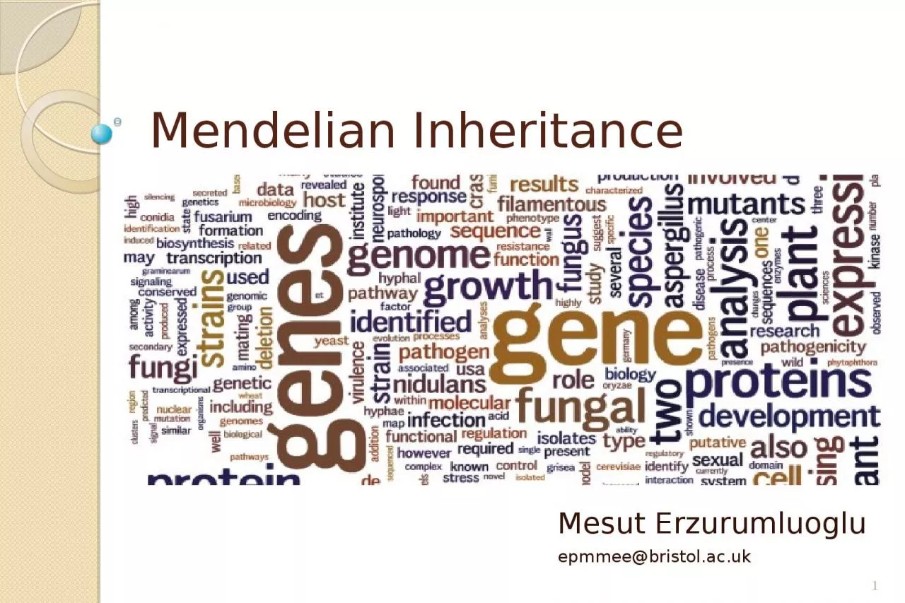 Mendelian Inheritance Mesut Erzurumluoglu