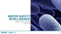 Water safety intelligence