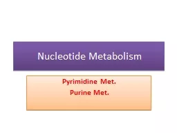 Nucleotide Metabolism Pyrimidine