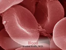 Blood Kristine Krafts, M.D.