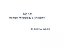 Dr. Betsy A. Wargo BSC  181