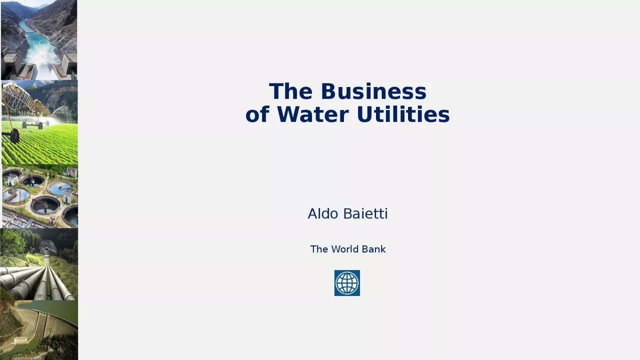 The Business of Water Utilities
