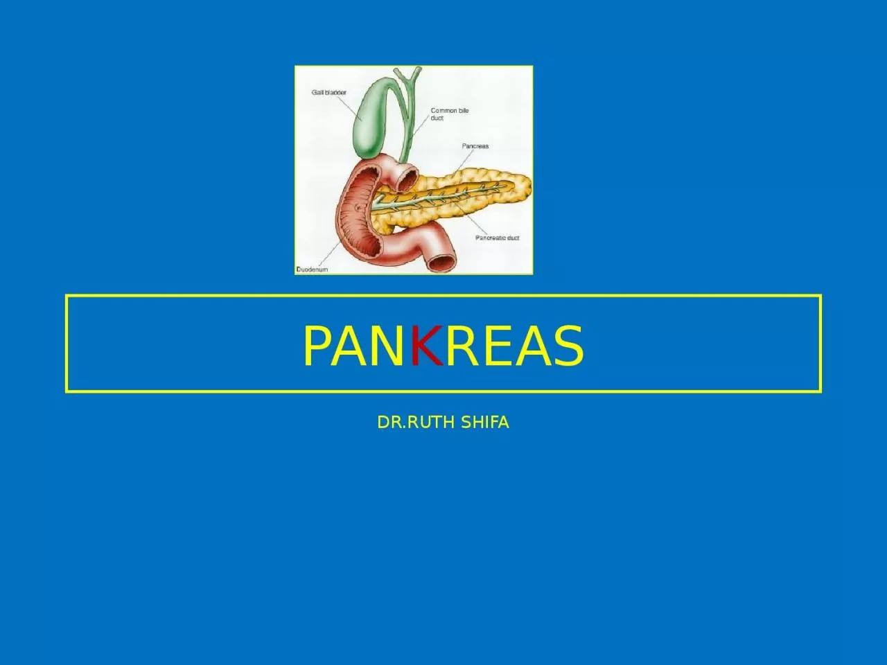 PAN K REAS DR.RUTH SHIFA