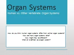 Organ Systems Human vs. Other Vertebrate Organ Systems