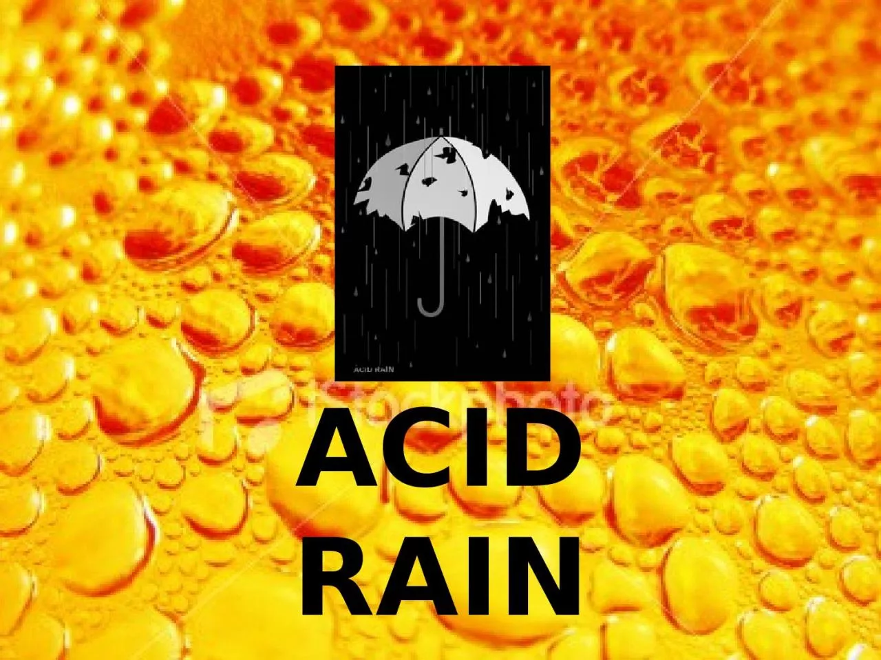 ACID RAIN Do Now What does pH scale measure?
