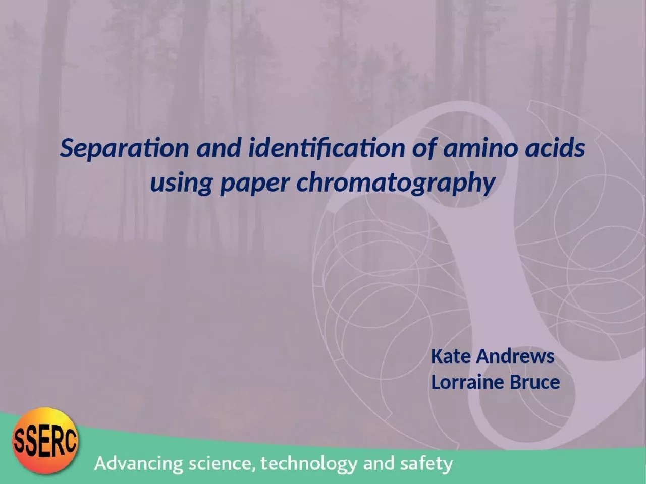Separation and identification of amino acids