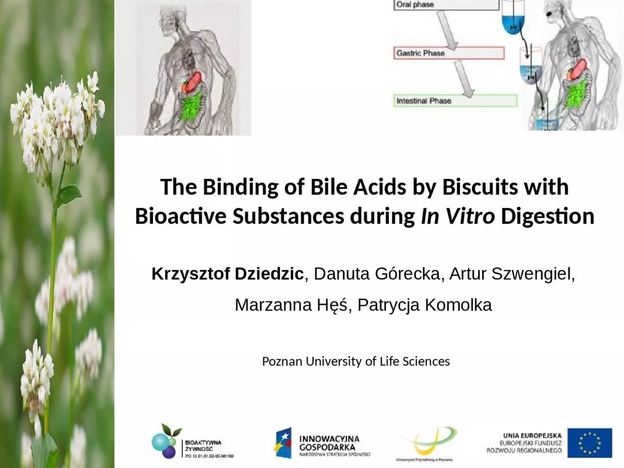 The Binding of Bile Acids by Biscuits with Bioactive Substances during