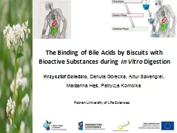 The Binding of Bile Acids by Biscuits with Bioactive Substances during