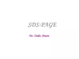 SDS-PAGE Ms. Nadia Amara