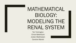 Mathematical Biology: Modeling the Renal System