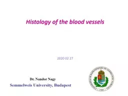 Histology  of  the   blood