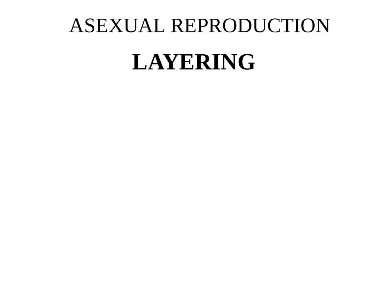 ASEXUAL REPRODUCTION LAYERING