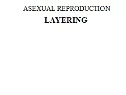 ASEXUAL REPRODUCTION LAYERING