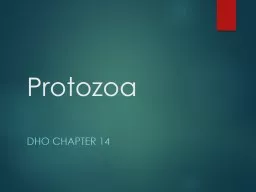 Protozoa DHO Chapter 14 Protozoa