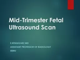 Mid-Trimester Fetal Ultrasound Scan