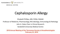 Cephalosporin Allergy Elizabeth Phillips, MD, FIDSA, FAAAAI