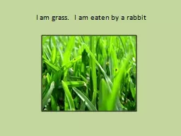 I am grass.  I am eaten by a rabbit