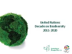 United Nations Decade on Biodiversity   UN Decade for Biodiversity Requests the Secretary