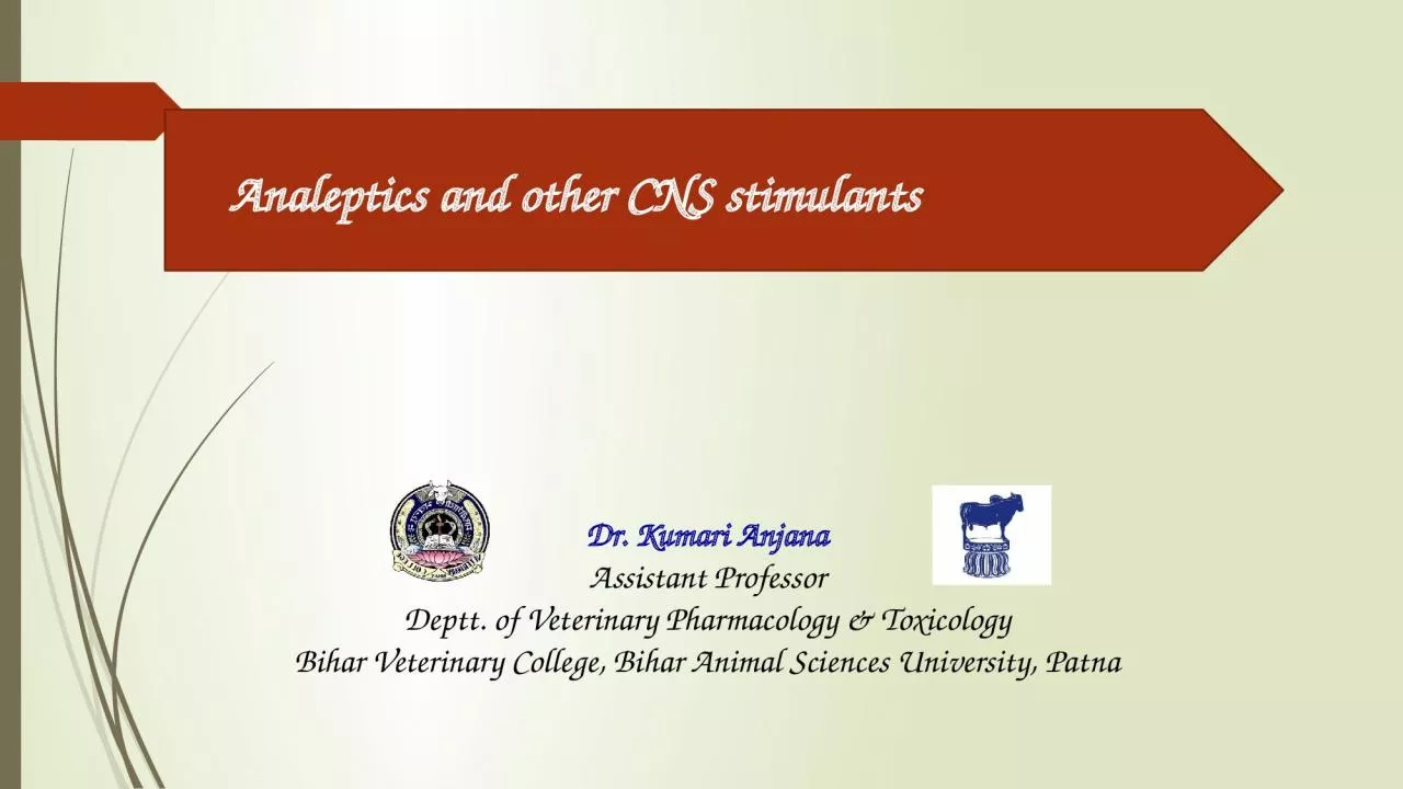 Analeptics and other CNS stimulants