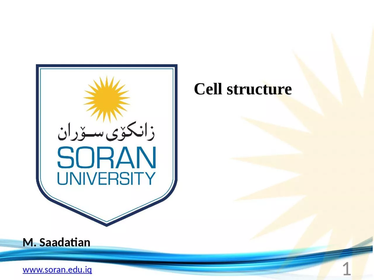 M.  Saadatian Cell structure