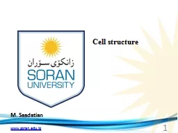 M.  Saadatian Cell structure