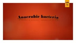 Anaerobic bacteria Lab 16