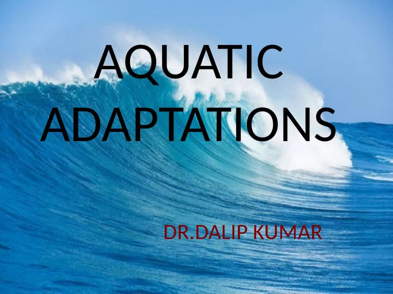 AQUATIC  ADAPTATIONS  DR.DALIP KUMAR
