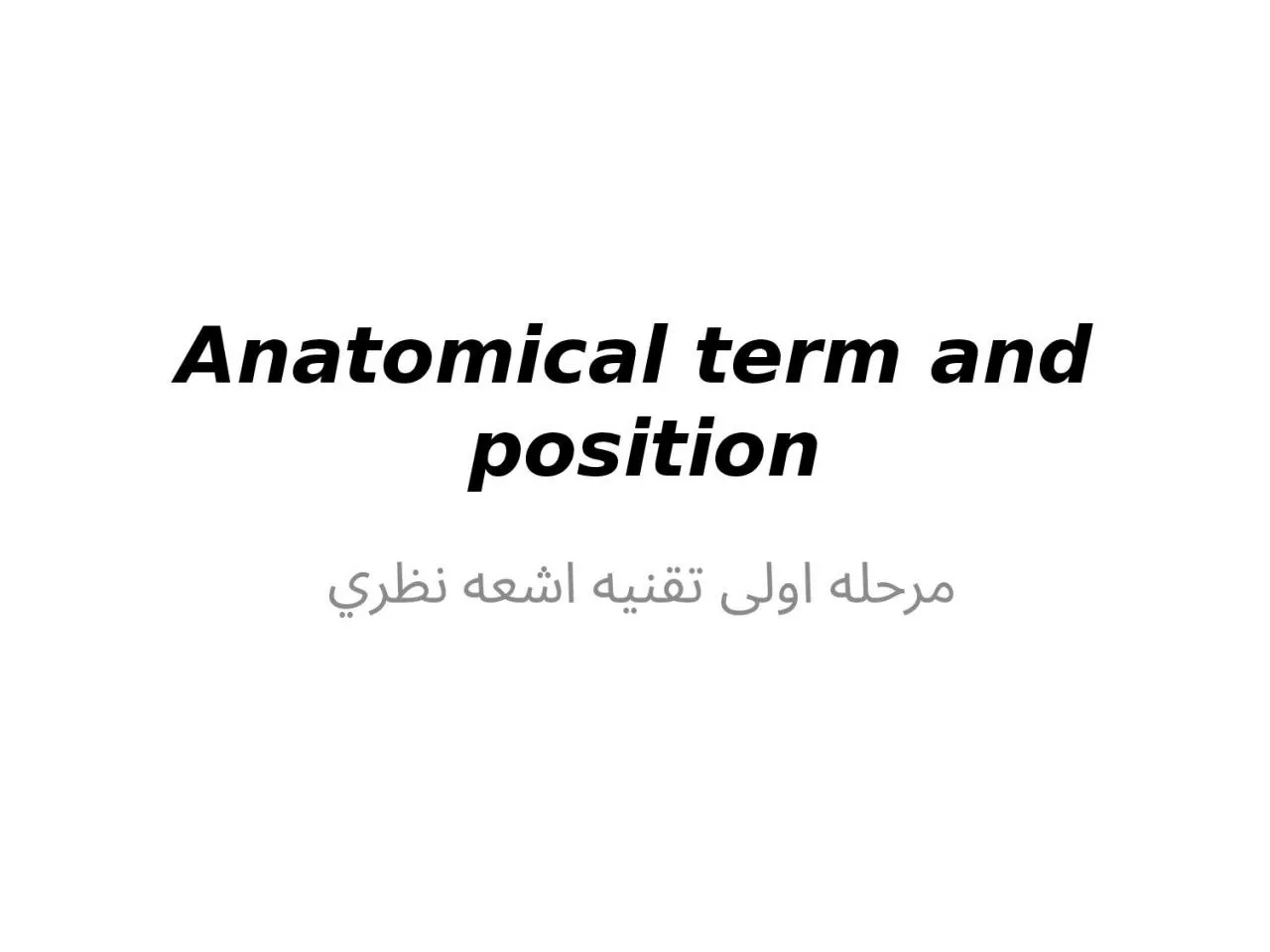 Anatomical term and position