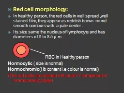 Red cell morphology:  In healthy person, the red cells in well spread ,well stained film, they appe