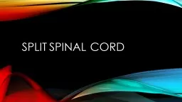 Split	Spinal	Cord Definition