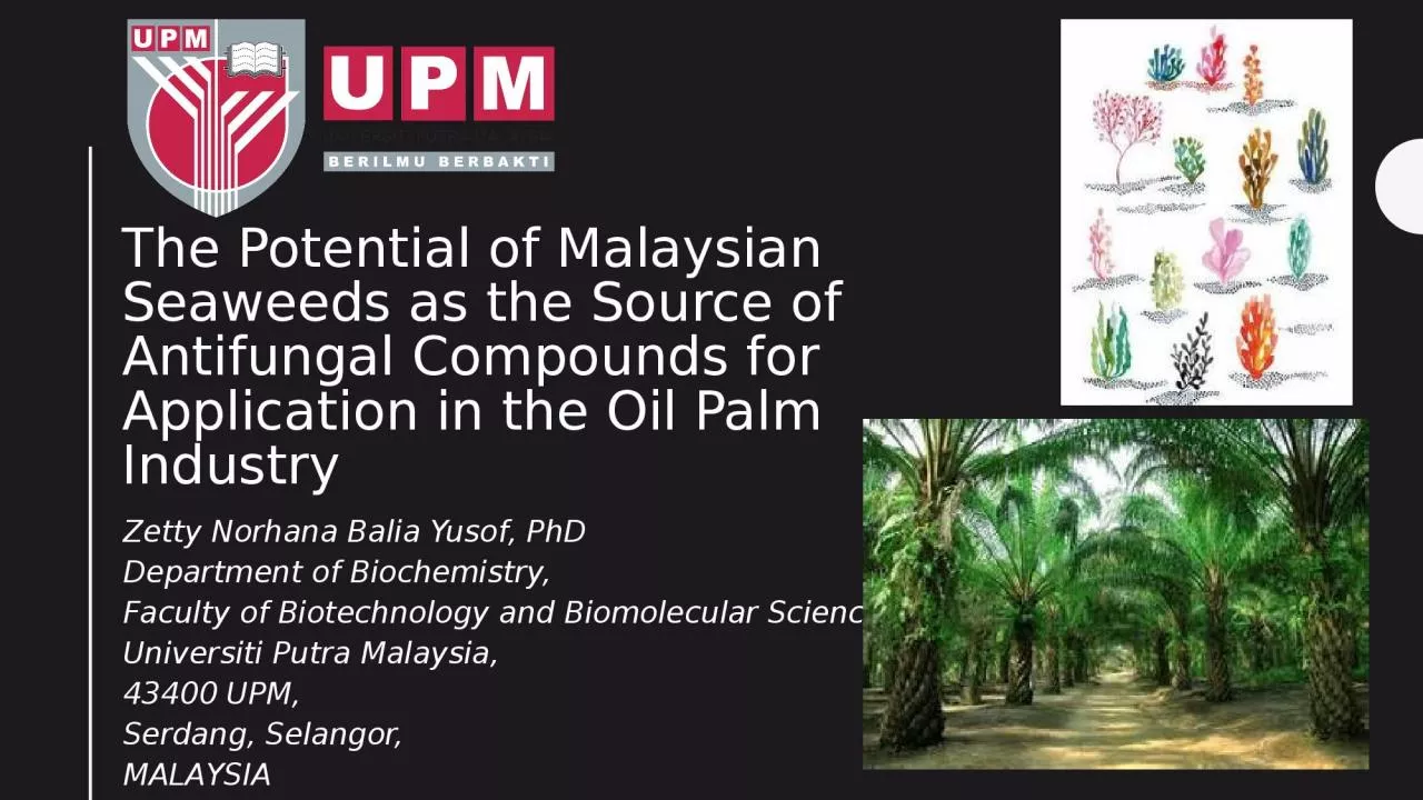 The Potential of Malaysian Seaweeds as the Source of Antifungal Compounds for Application
