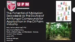 The Potential of Malaysian Seaweeds as the Source of Antifungal Compounds for Application in the Oi