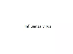 Influenza virus Overview of influenza virus