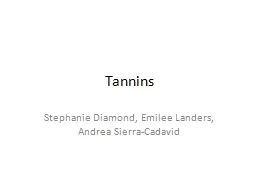 Tannins Stephanie Diamond, Emilee Landers, Andrea Sierra-
