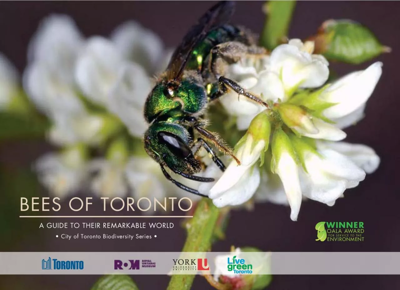 BEES OF TORONTO A GUIDE TO THEIR REMARKABLE WORLD 149 City of Toron