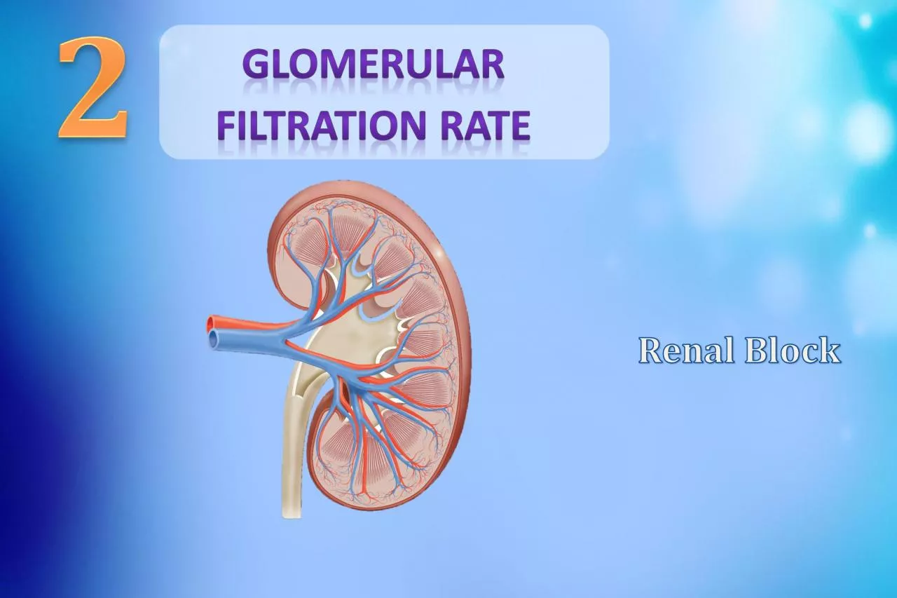 ObjectivesDescribe that the mechanism of urine formation include thr