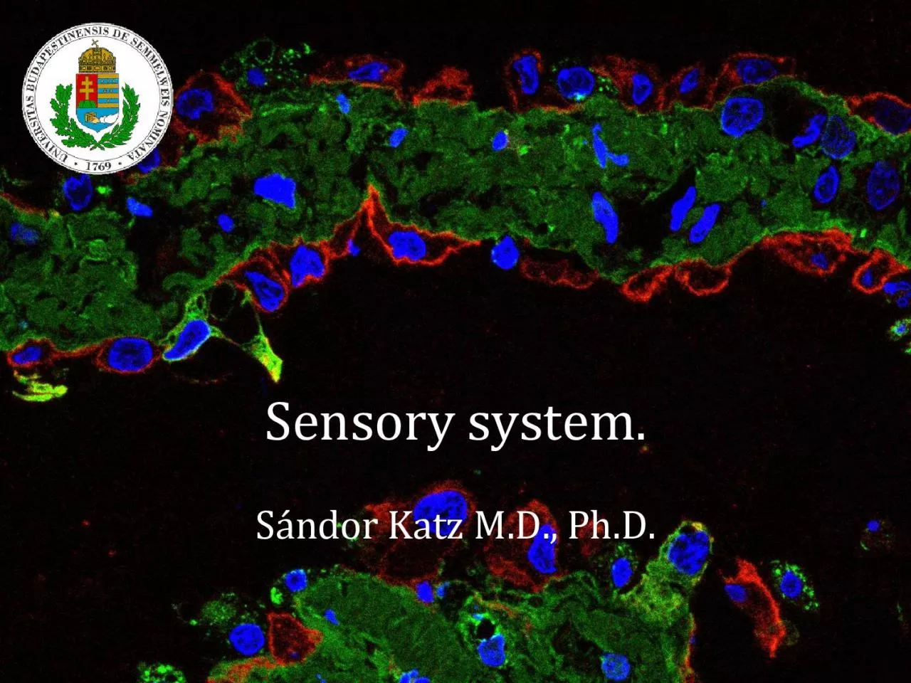 PDF-Sensory system