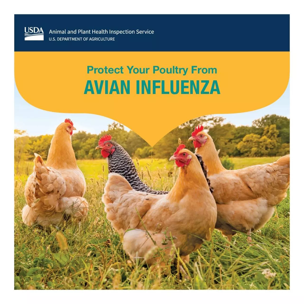 PDF-Protect Your Poultry From