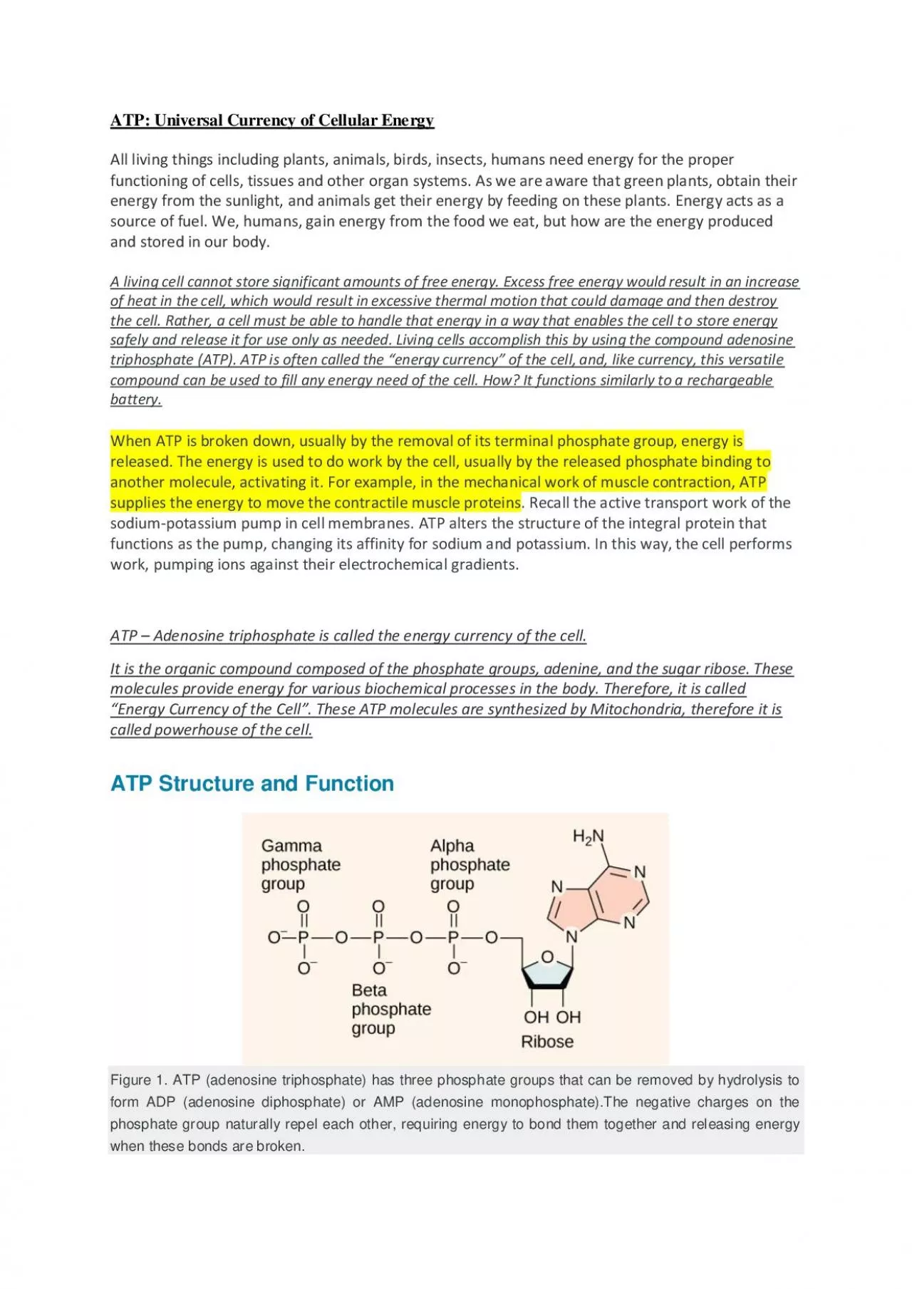 PDF-ATP Universal Currency of Cellular Energy