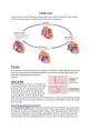 Cardiac Cycle