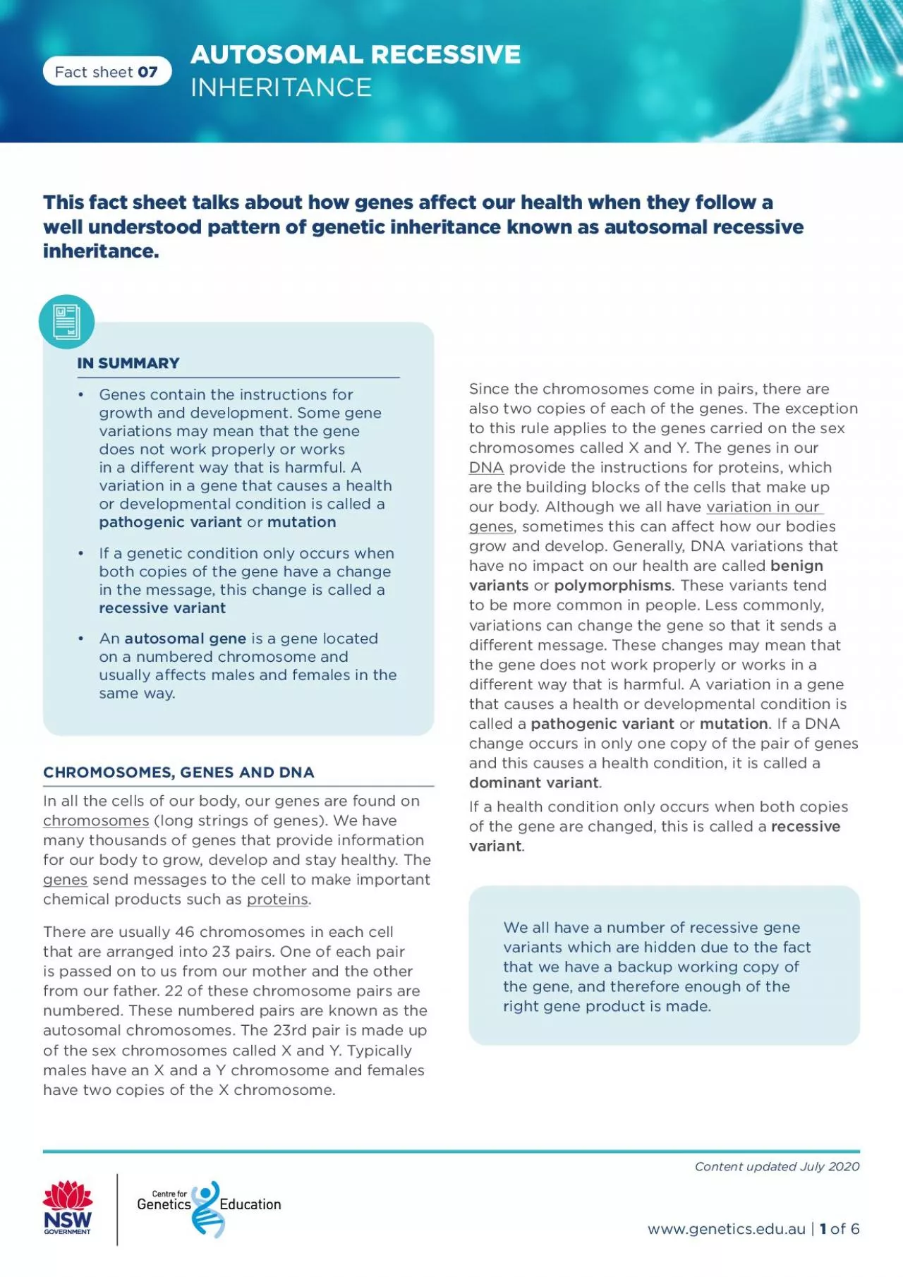 PDF-IN SUMMARY Genes contain the instructions for growth and development