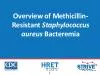 Overview of MethicillinResistant Staphylococcus aureus Bacteremia