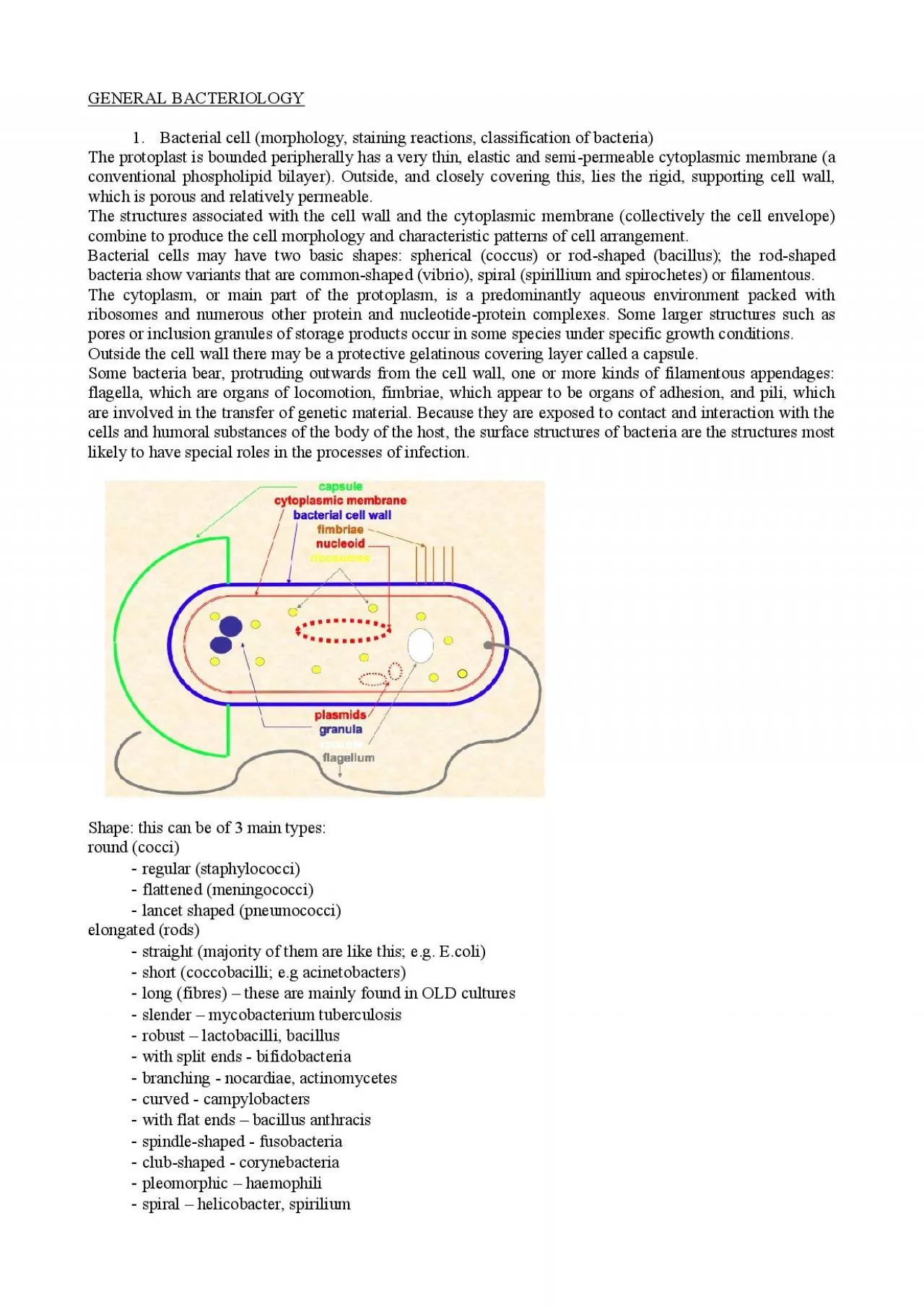 PDF-GENERAL BACTERIOLOGY