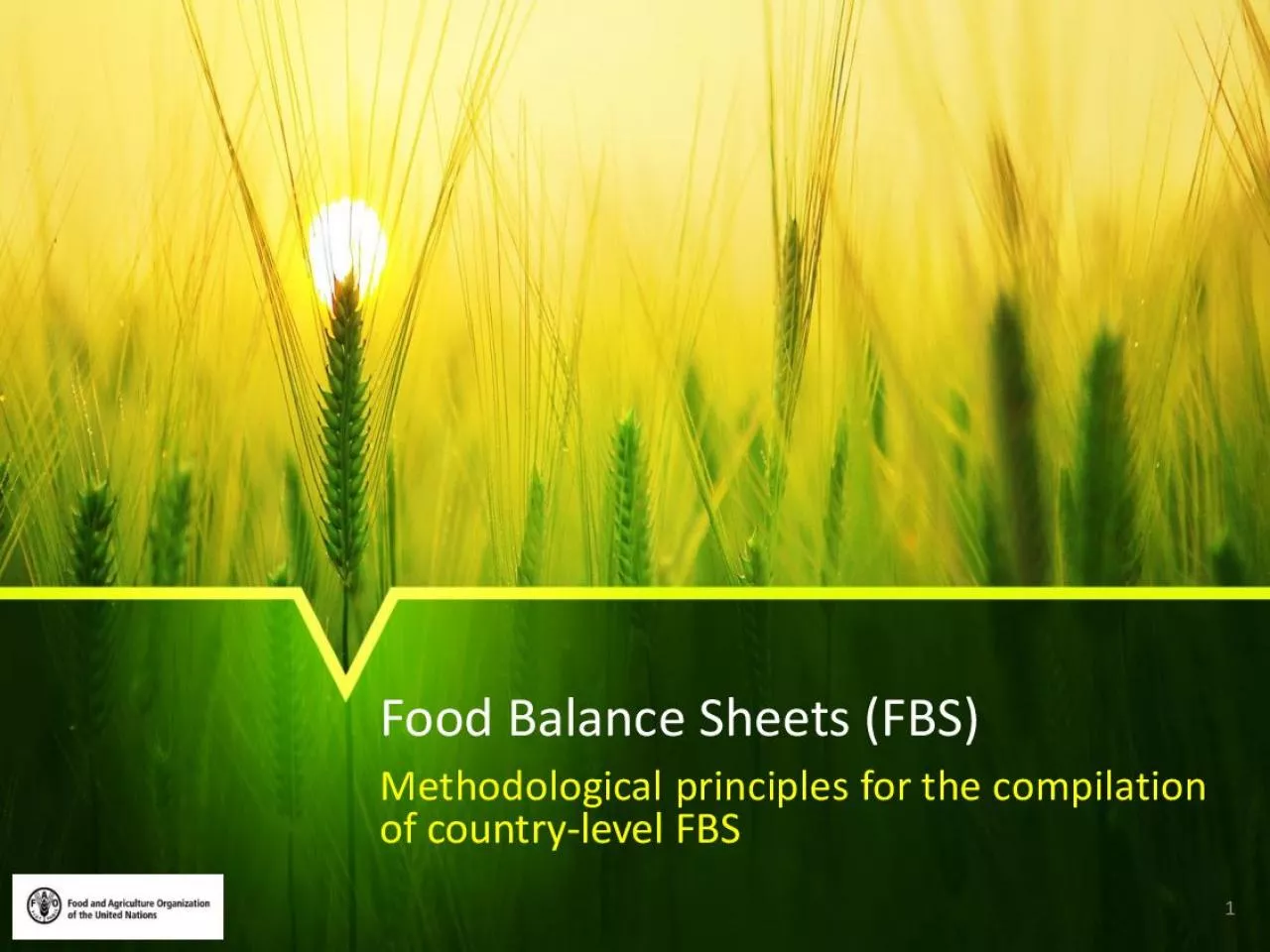 Food Balance Sheets FBS