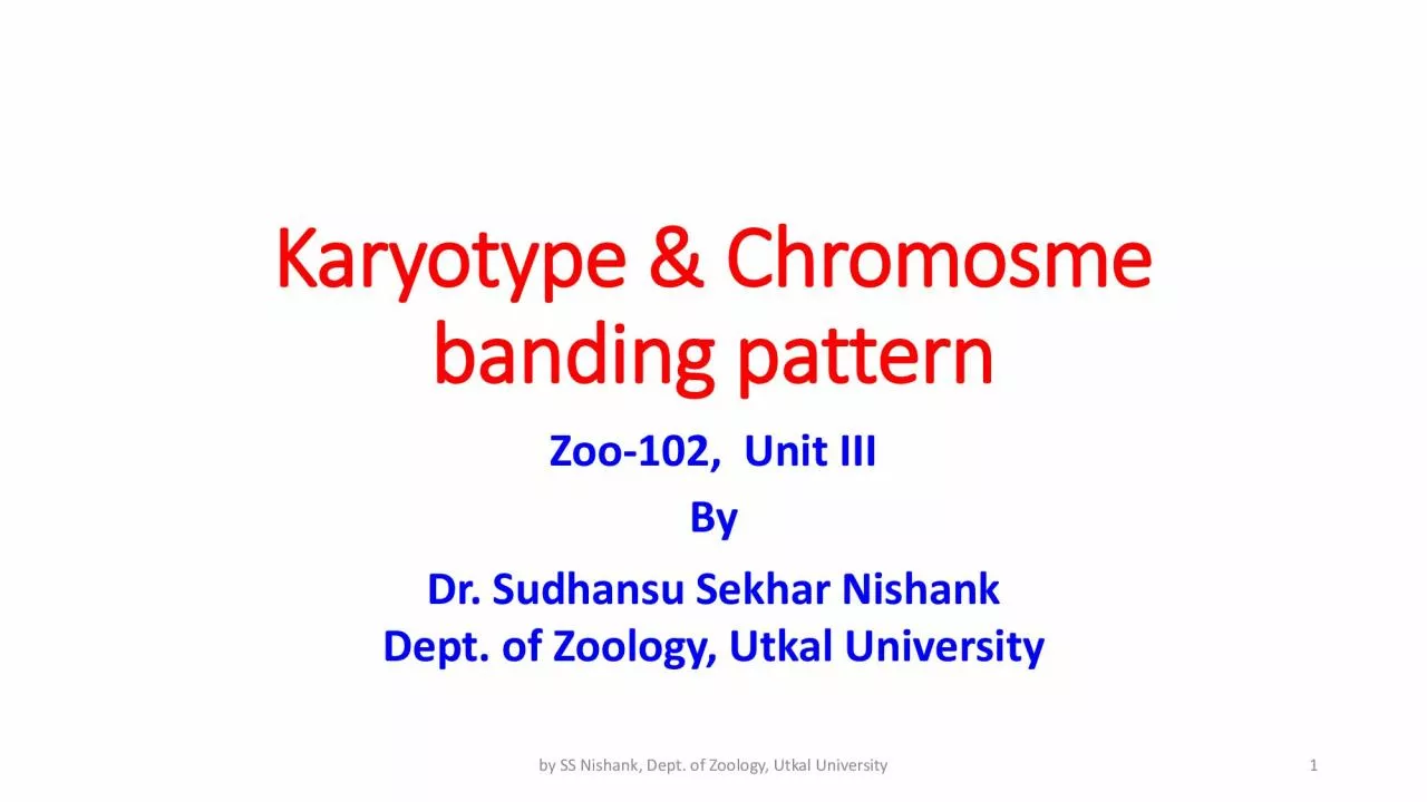 Karyotype  Chromosme